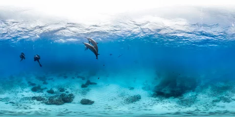 Zelfklevend Fotobehang Duikers met dolfijnen © The Ocean Agency