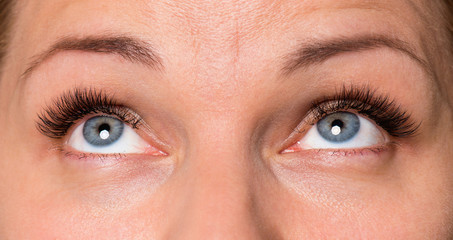Close-up face of beautiful young woman with beautiful blue eyes and big pretty eyelashes and eyebrows. Macro of human eye - open expressive look up.