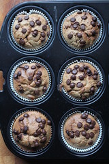 Schoko Muffins im Blech