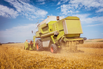 Obraz premium Combine harvesters Agricultural machinery. The machine for harvesting grain crops.
