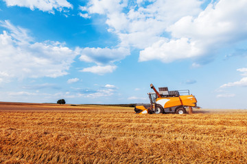 Obraz premium Combine harvesters Agricultural machinery. The machine for harvesting grain crops.