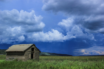 Obraz premium little wood barn