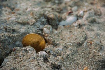 Bitcoin on rock