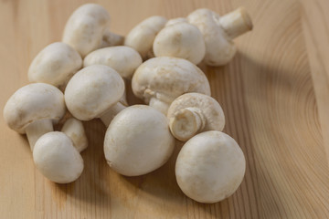 Champignon mushrooms background