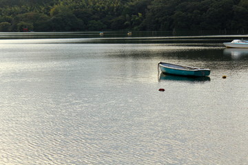 一碧湖のボート