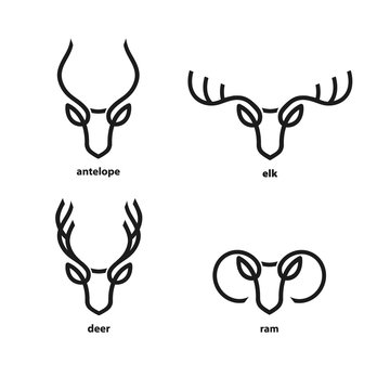 Set of animals with horns. Line icons collection. Antelope head, elk head, deer head and ram head. Vector illustration. 