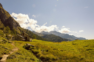 Obraz premium Panoramic view of a forest in the valley of Gressoney near Monte Rosa