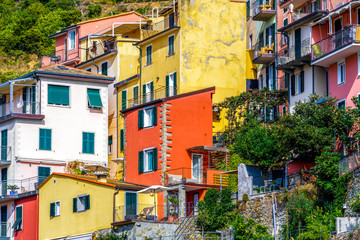 Fototapeta na wymiar Colorful houses in Manarola Village Italy 