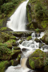 green moss and waterfall