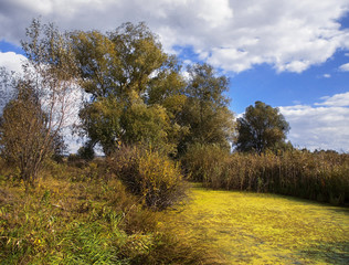 Obraz premium Rural backwater near Kiev