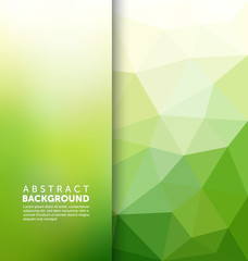 Abstract Background - Polygonal and blurred banner design