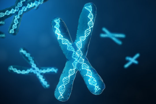 3D illustration X-Chromosomes with DNA carrying the genetic code. Genetics concept, medicine concept. Future, genetic mutations. Changing the genetic code at the biological level.