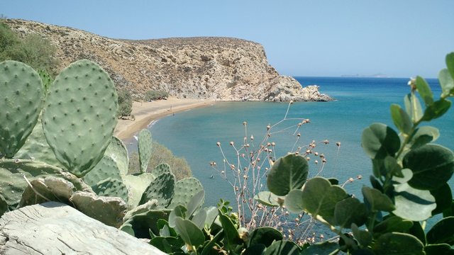 Klisidi beach at Anafi island in Greece on a sunny day wide shot with prickly pear plant in front