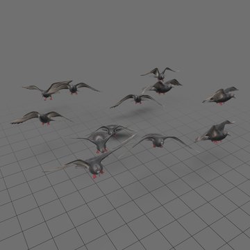 Flock of pigeons in flight 7