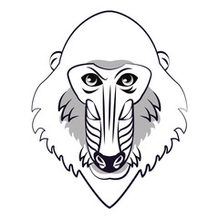 Mandrill face cool sketch