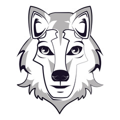 Fototapeta premium Wolf face cool sketch