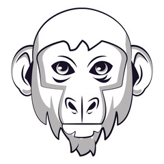 Monkey face cool sketch