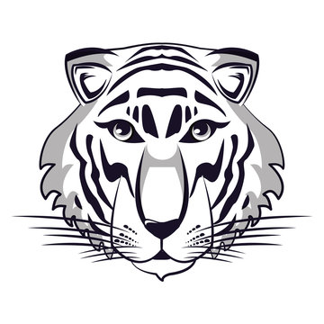 Tiger face cool sketch