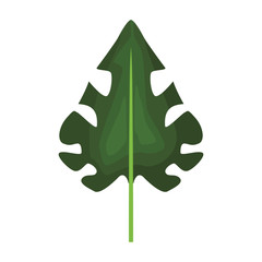 Leaf nature cartoon