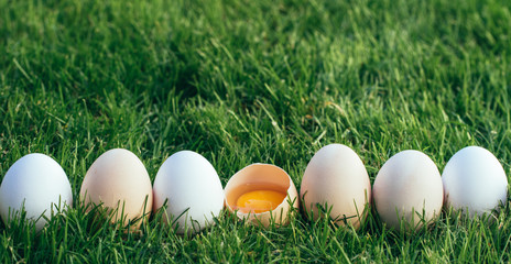 Spring Green Garden and Easter Eggs