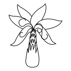 Tree palm cartoon