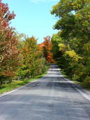 Country Road in Fall in Eastern Townships, Quebec