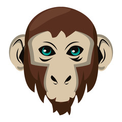 Monkey face cool sketch