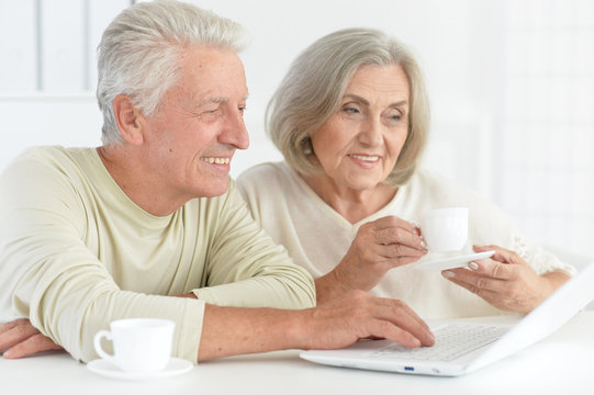 Portrait of happy senior couple using laptop