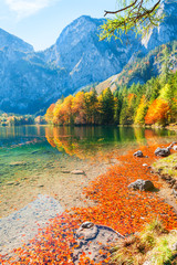 Autumn trees with red-yellow leaves on the shore of lake in Alps mountains, Austria