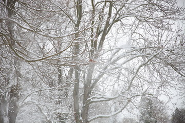 Delitzsch, Stadtpark