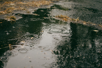 Puddle water on wet street