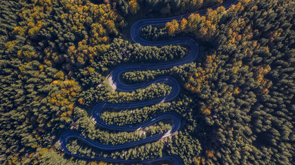 Curved road trough the forest