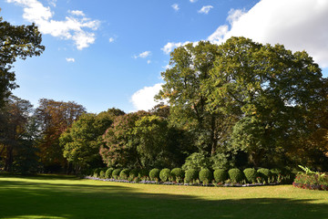 Pelouse du jardin du Luxembourg à Paris, France