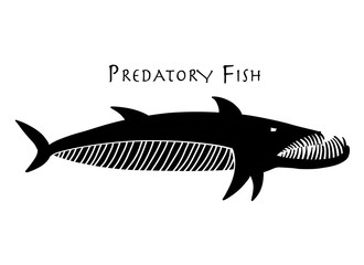 Barracuda fish for your design