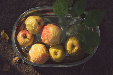 Baked yellow and red apples on a tray