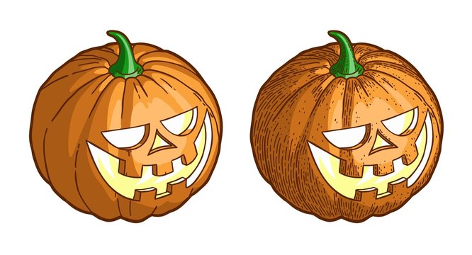 Halloween pumpkin. Color vintage illustration in engraving style.