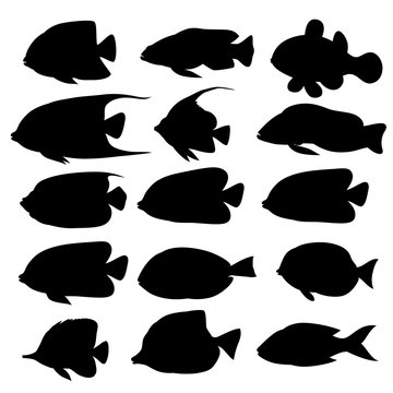 Silhouettes of sea fish animals isolated black and white. Vector illustration