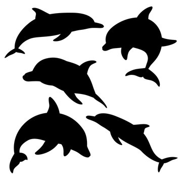 Dolphins for design and tattoo purposes, easy to use, edited and replaced. Vector illustration