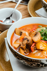 Traditional Uzbek oriental cuisine. soup with lamb meat. Copy space, selective focus