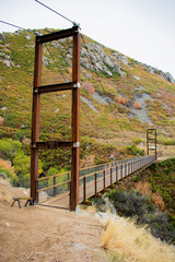 Bear Canyon Suspension Bridge
