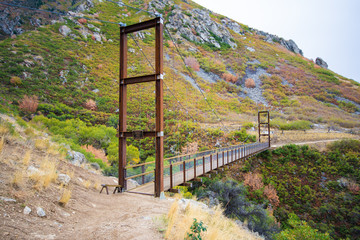 Bear Canyon Suspension Bridge