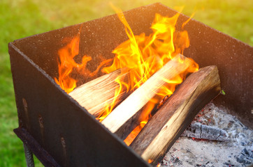 Crest of flame on burning wood in fireplace