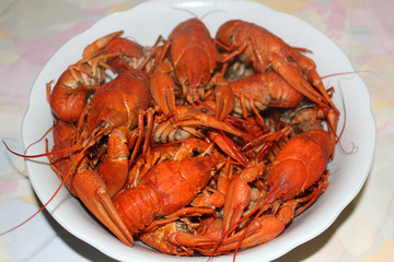Boiled crayfish on a plate