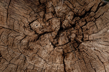Holzstruktur