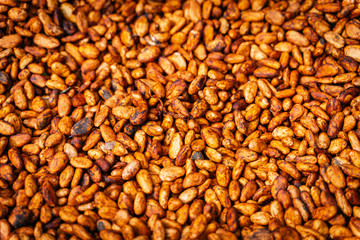 From Cacoa to Chocolate