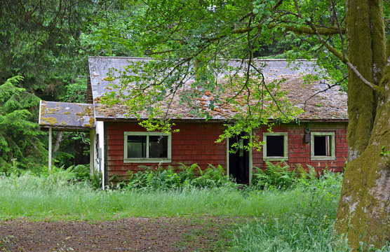 Old abandoned house in the woods