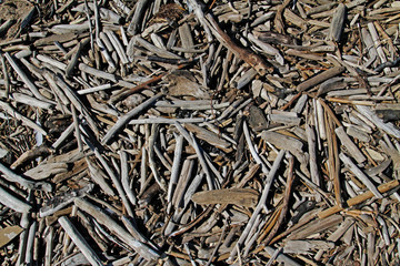 Wooden sticks on ground as background or texture