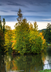 Reflection of a tree full of fall colors