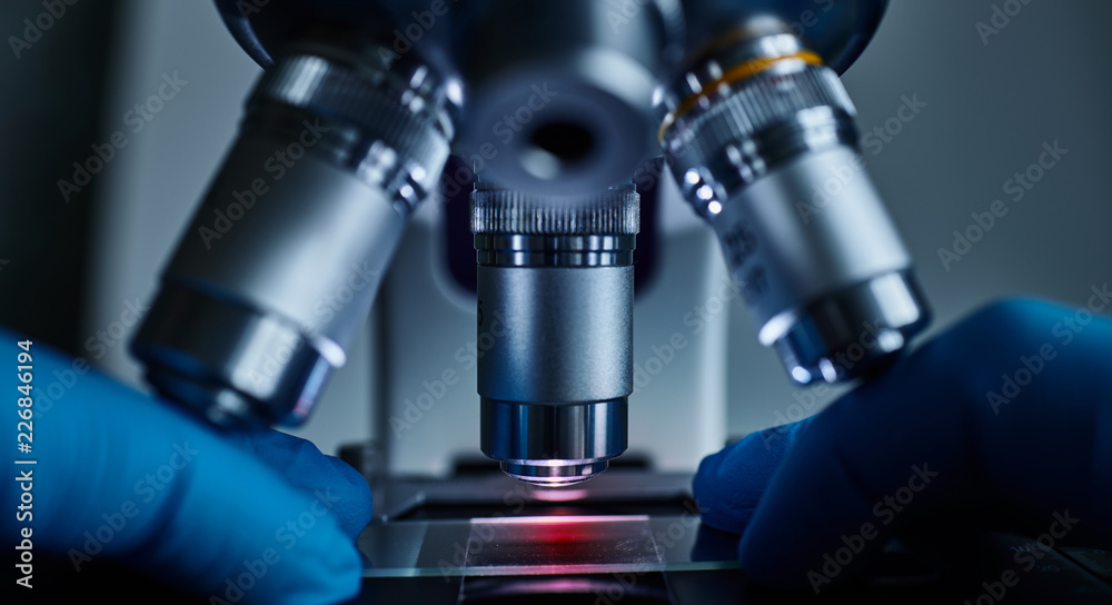 Wall mural scientist hands with sample slide on microscope close-up shot in the laboratory