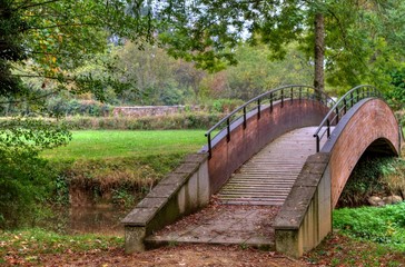 Petite passerelle bucolique au milieu de la verdure.